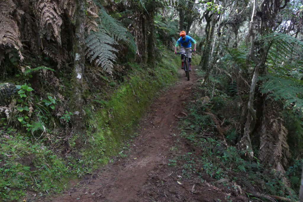 trilha-quebra-gelo-03